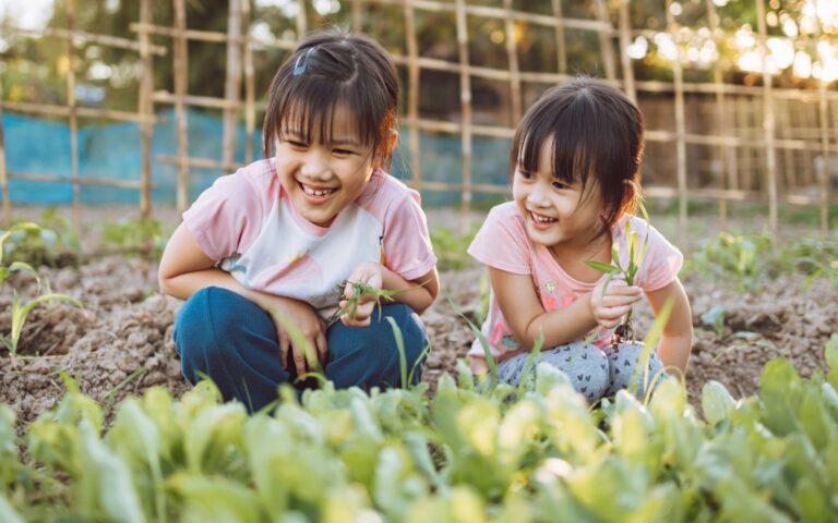 gaya hidup berkelanjutan