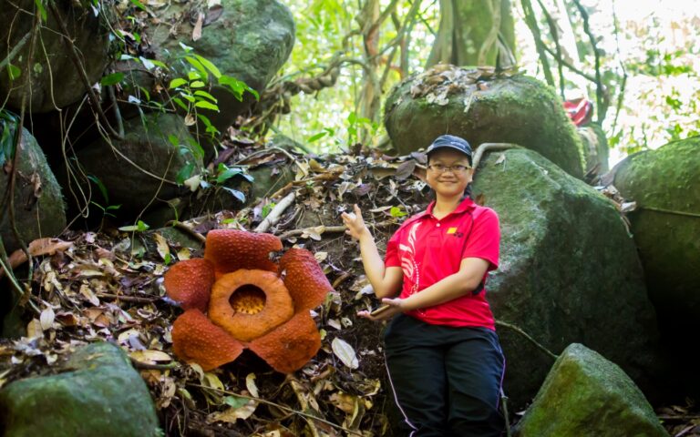 Hari Cinta Puspa dan Satwa Nasional